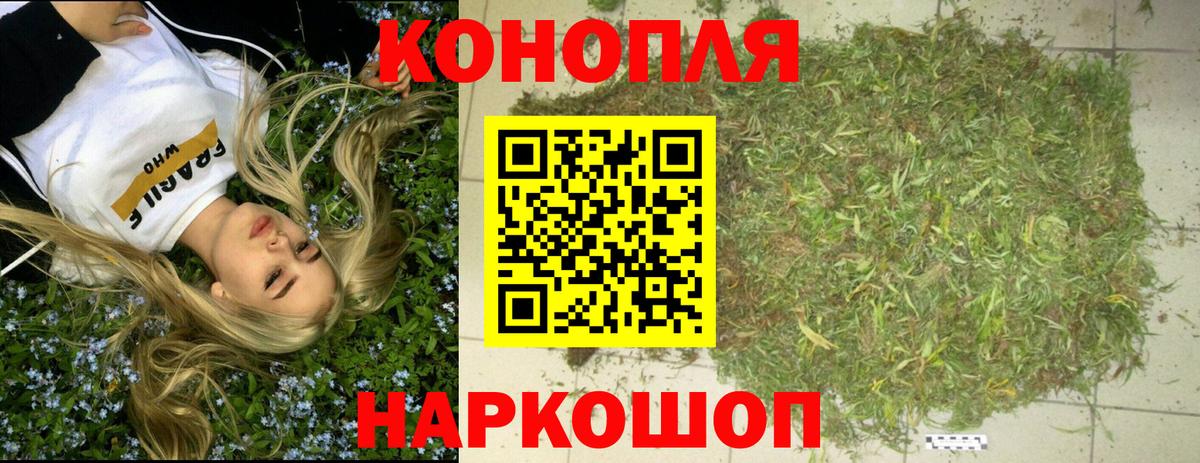 Бошки марихуана MAZAR  Бошки Шишки семена  Свободный  Канабис конопля  Вход с VPN 